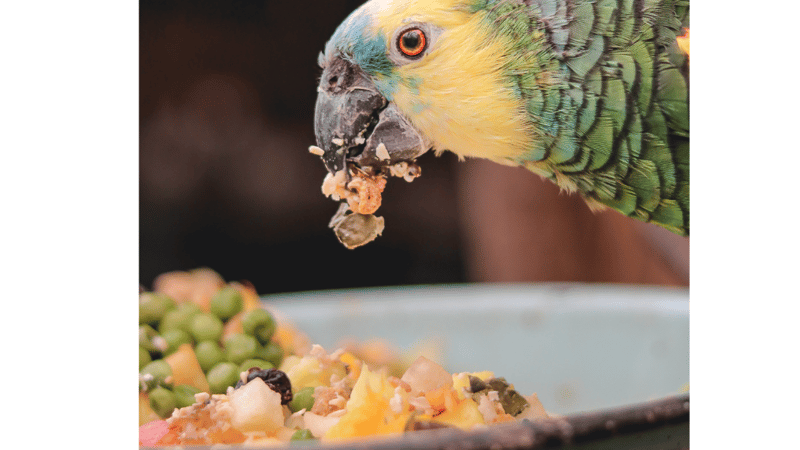 Screenshot 2025-09-08 150553