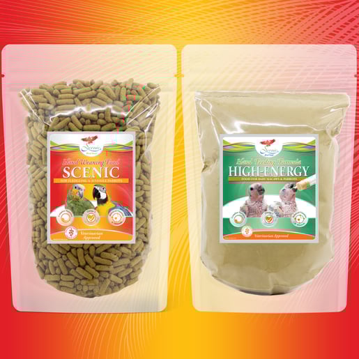 scenic-baby-parrot-products@1.5x-100